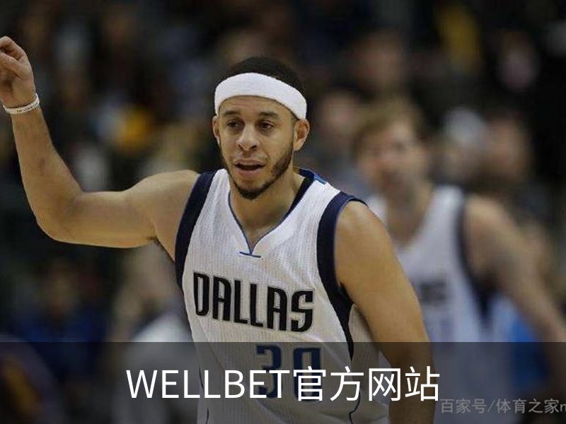 WELLBET官方网站简介